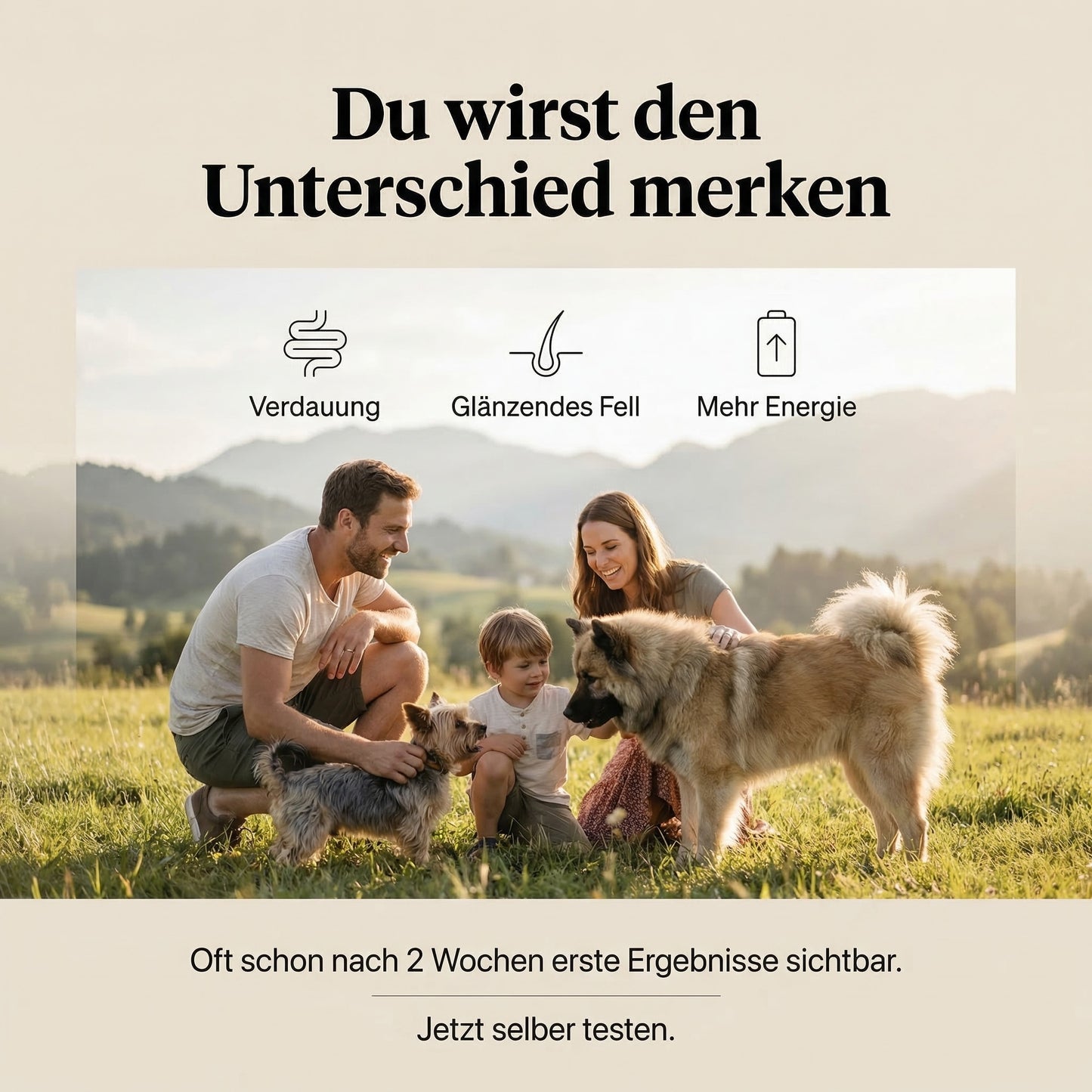Kennenlern Angebot: 4 Sorten á 400g